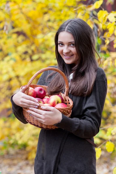 Mladá dívka v podzimním parku s košem jablek — Stock fotografie