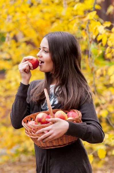 Mladá dívka v podzimním parku s košem jablek — Stock fotografie