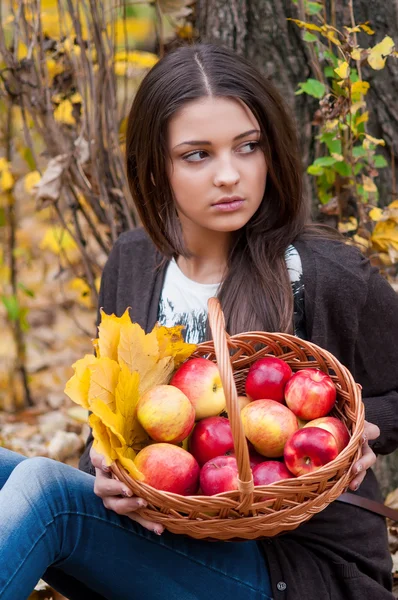 Молода дівчина в осінньому парку з кошиком з яблуками — стокове фото