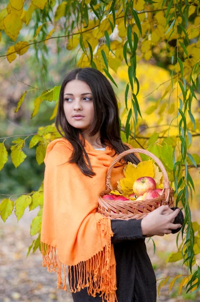 Chica joven en el parque de otoño con una cesta de manzanas —  Fotos de Stock