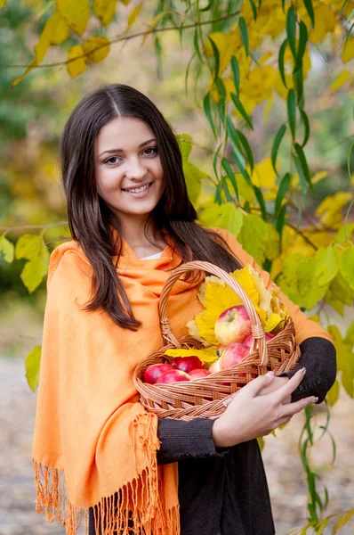 Chica joven en el parque de otoño con una cesta de manzanas —  Fotos de Stock