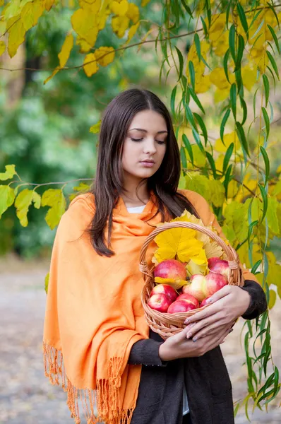 Jovem no parque de outono com uma cesta de maçãs — Fotografia de Stock
