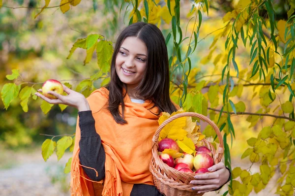 Mladá dívka v podzimním parku s košem jablek — Stock fotografie