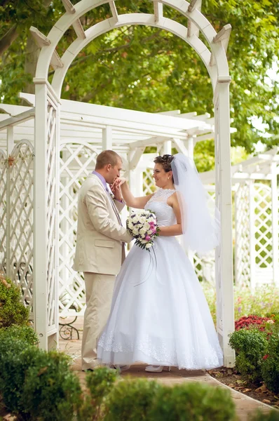 Young and beautiful bride and groom — Stock Photo, Image