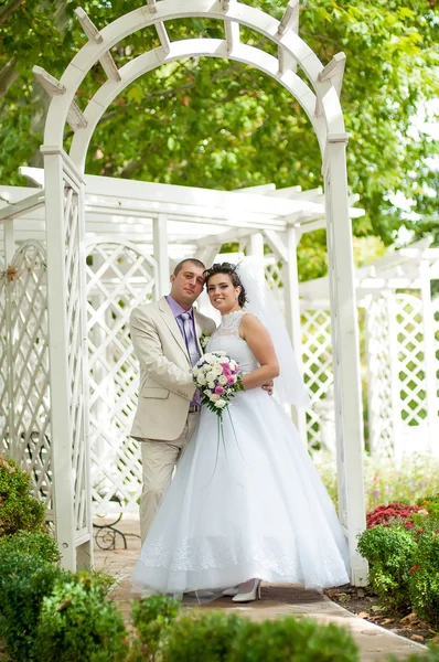 Young and beautiful bride and groom — Stock Photo, Image