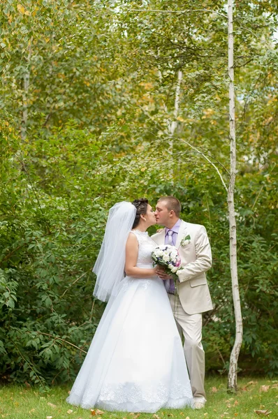 Young and beautiful bride and groom — Stock Photo, Image