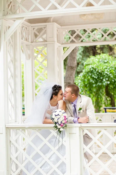 Young and beautiful bride and groom — Stock Photo, Image