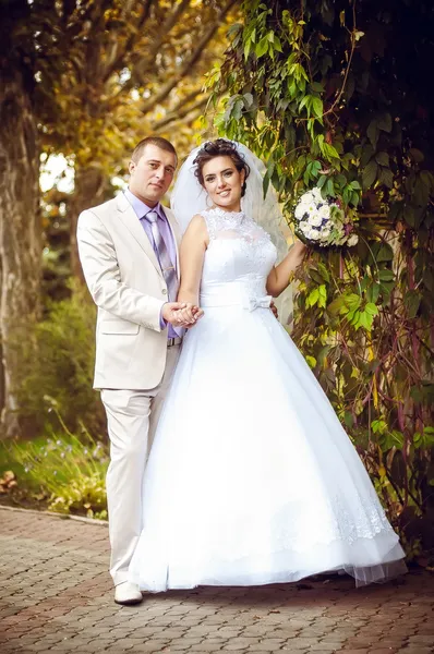 Young and beautiful bride and groom — Stock Photo, Image