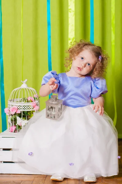 Маленькая девочка в красивом платье с клетками для птиц — стоковое фото