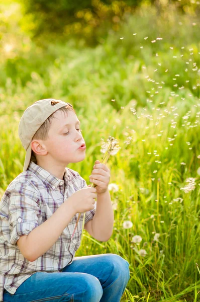 Boy on summer nature with dandelions — Stock Photo, Image