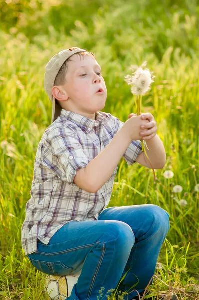 Мальчик на летней природе с одуванчиками — стоковое фото
