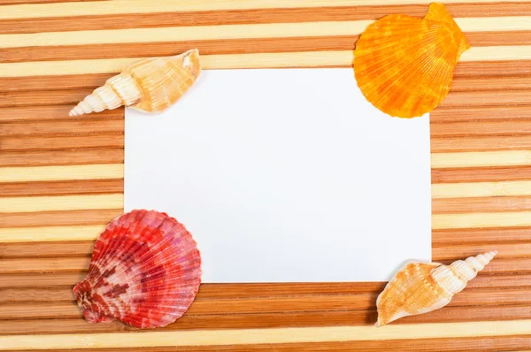 Cartão de papel e conchas em madeira — Fotografia de Stock