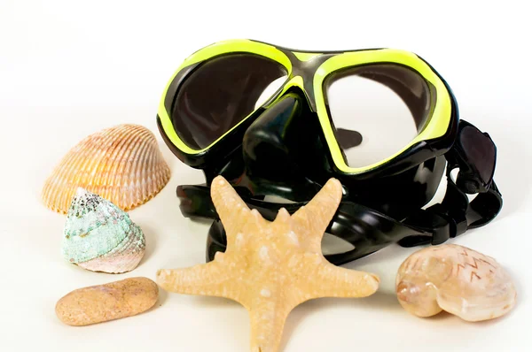 Mask for snorkeling and seashells — Stock Photo, Image