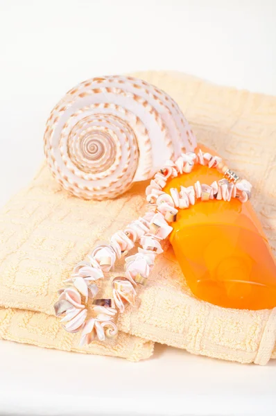 Bottle of shampoo and towel seashells, shell beads — Stock Photo, Image