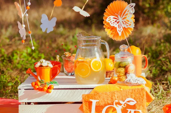 Piquenique decorado com laranjas e limonada no verão — Fotografia de Stock