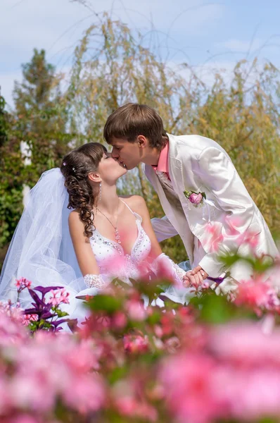 Young and beautiful bride and groom — Stock Photo, Image