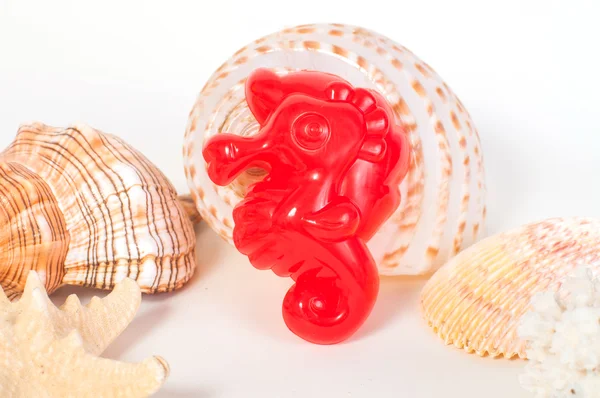 Strandspielzeug und Muscheln — Stockfoto