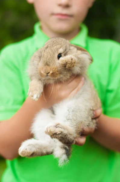 Petit garçon avec un lapin dans les mains — Photo