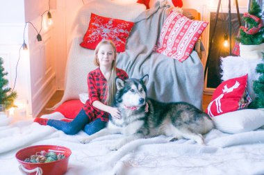 Kırmızı ekose gömlekli, sarı saçlı tatlı kız Noel için dekore edilmiş bir odada köpek Malamute ile oynuyor. Noel havası. - Mutlu yıllar. Köpekler ve insanlar
