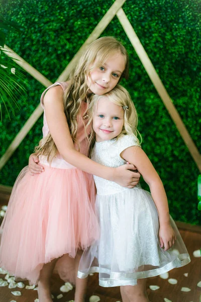 Маленькі Милі Дівчата Сестри Світлим Волоссям Біло Рожевих Сукнях Білих — стокове фото