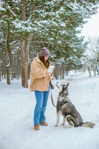 Joven Linda Chica Divierte Clima Nevado Invierno Parque Estilo Vida —  Fotos de Stock