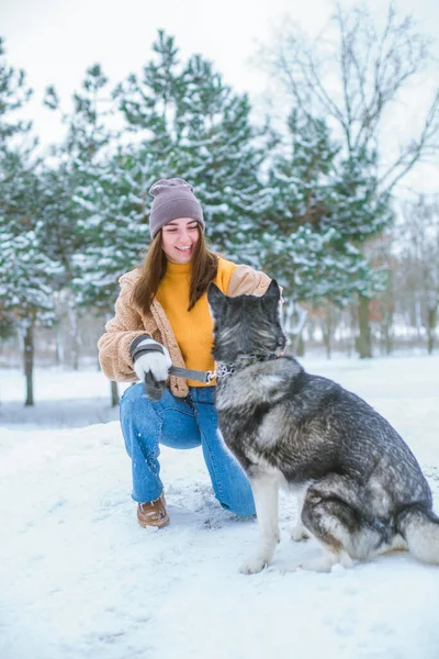 Joven Linda Chica Divierte Clima Nevado Invierno Parque Estilo Vida —  Fotos de Stock