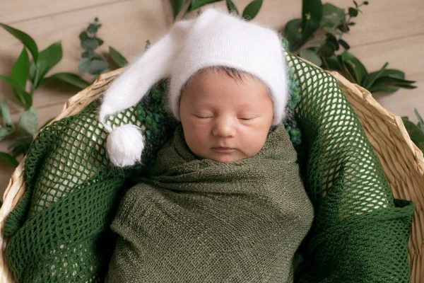 Leuke Kleine Baby Een Rieten Mandje Versierd Met Groene Takken — Stockfoto