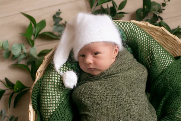 Leuke Kleine Baby Een Rieten Mandje Versierd Met Groene Takken — Stockfoto