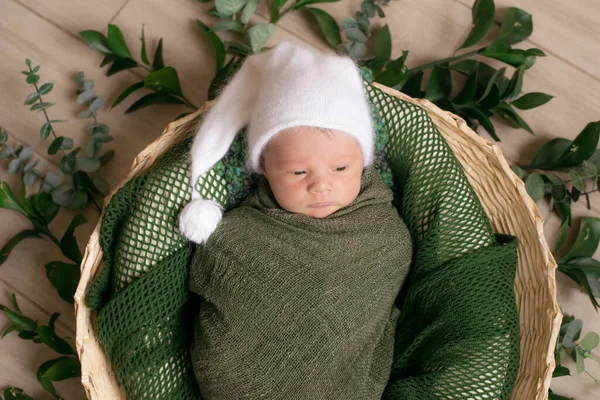 Cute Little Baby Wicker Basket Decorated Green Branches Green Knitted — Stock Photo, Image