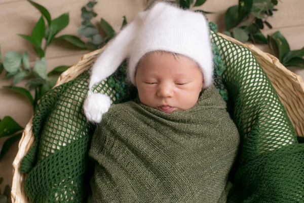 Aranyos Kis Baba Egy Fonott Kosár Díszített Zöld Ágak Egy — Stock Fotó