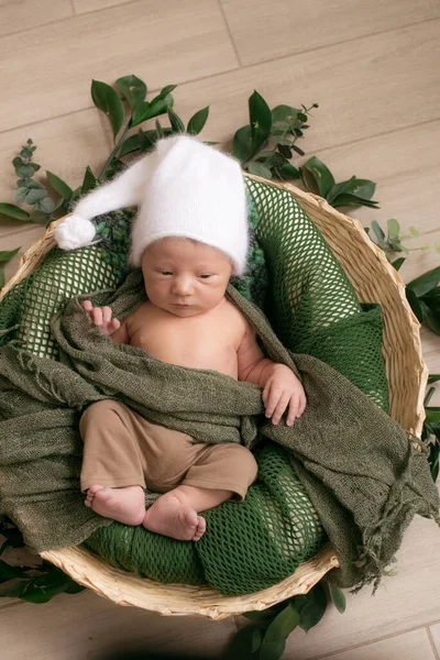 Leuke Kleine Baby Een Rieten Mandje Versierd Met Groene Takken — Stockfoto