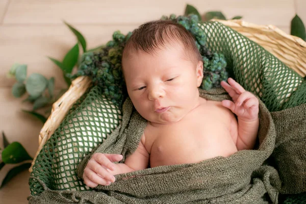Χαριτωμένο Μωράκι Ψάθινο Καλάθι Διακοσμημένο Πράσινα Κλαδιά Πράσινη Πλεκτή Κουβέρτα — Φωτογραφία Αρχείου