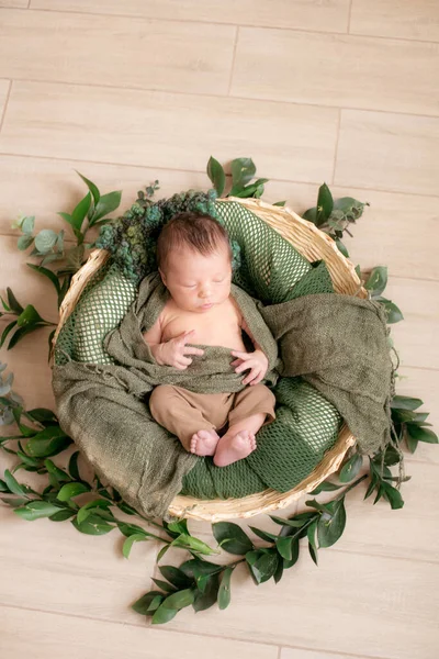 Leuke Kleine Baby Een Rieten Mandje Versierd Met Groene Takken — Stockfoto