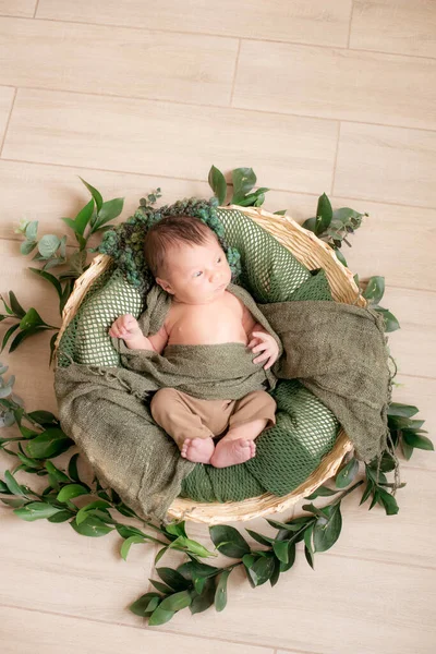 Lindo Bebé Una Cesta Mimbre Decorada Con Ramas Verdes Una — Foto de Stock
