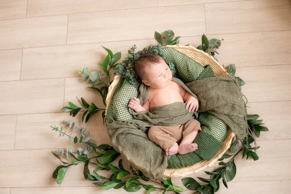 Mignon Petit Bébé Dans Panier Osier Décoré Branches Vertes Dans — Photo