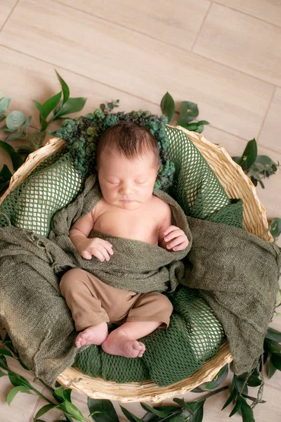 Lindo Bebé Una Cesta Mimbre Decorada Con Ramas Verdes Una — Foto de Stock