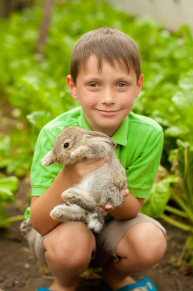 A cute boy in a green t-shirt holds a rabbit in his arms in nature in summer. Animals and children