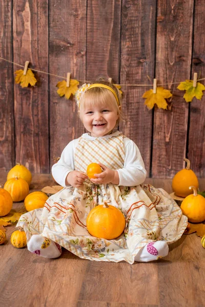 Little Cute Girl Orange Pumpkins Autumn Mood Halloween — Stock fotografie