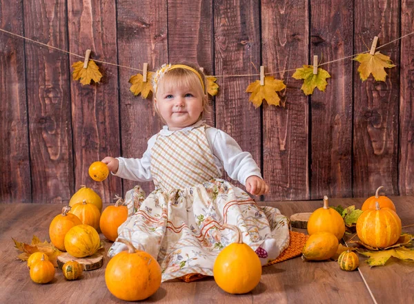 Little Cute Girl Orange Pumpkins Autumn Mood Halloween — Stock Photo, Image