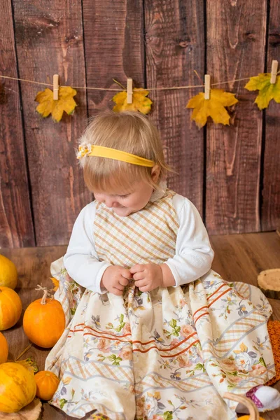 Little Cute Girl Orange Pumpkins Autumn Mood Halloween — Stok fotoğraf