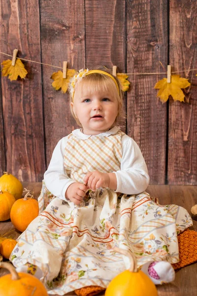 Little Cute Girl Orange Pumpkins Autumn Mood Halloween — Stock fotografie