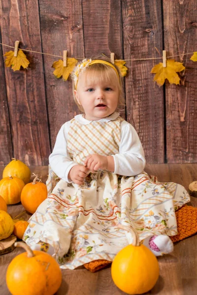Little Cute Girl Orange Pumpkins Autumn Mood Halloween — стоковое фото