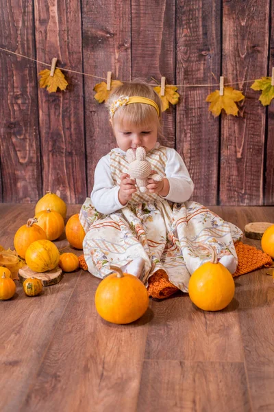 Little Cute Girl Orange Pumpkins Autumn Mood Halloween — Φωτογραφία Αρχείου