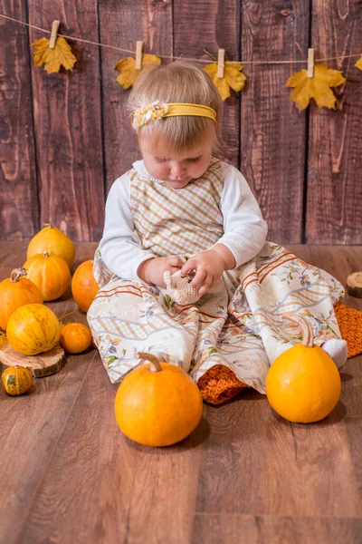 Little Cute Girl Orange Pumpkins Autumn Mood Halloween — стоковое фото