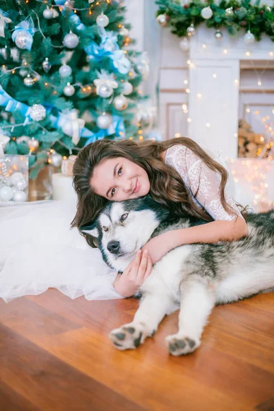 大きなMalamuteと古典的なクリスマスの装飾と部屋のクリスマスツリーの近くの白い風通しの良いボールのガウンに長い暗い巻き毛を持つかわいい十代の女の子 クリスマス気分 ペット — ストック写真