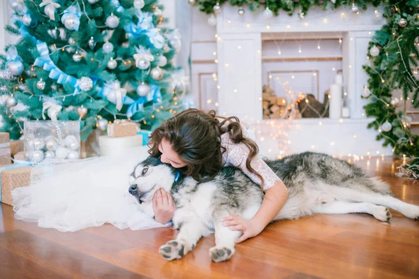 一个可爱的少女 一头乌黑的卷发 穿着白色的童装 紧靠着圣诞树 房间里有一个经典的圣诞装饰 有一个大的Malamute 圣诞气氛 — 图库照片