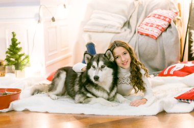 Uzun siyah kıvırcık saçlı, beyaz kazaklı, Noel dekoru olan bir odada büyük bir Malamute 'lu tatlı bir genç kız. Noel havası. evcil