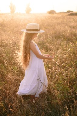 Bir hasır şapka ile beyaz bir elbise ile gün batımında bir yaz alanında sarı uzun saçlı sevimli küçük kız