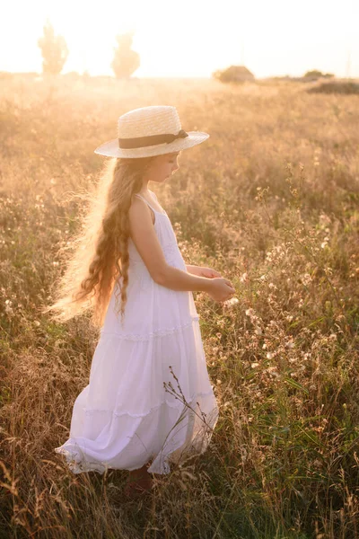 Menina Bonito Com Cabelos Longos Loiros Campo Verão Pôr Sol — Fotografia de Stock