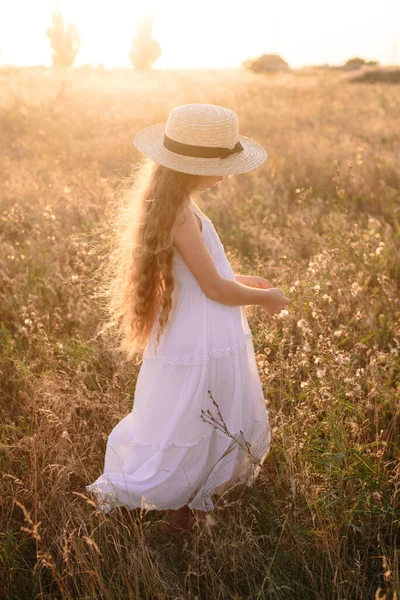 Menina Bonito Com Cabelos Longos Loiros Campo Verão Pôr Sol — Fotografia de Stock